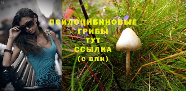 PSILOCYBIN Аркадак