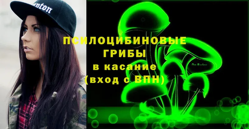 блэк спрут ссылки  цена   Бирюч  Галлюциногенные грибы Psilocybine cubensis 